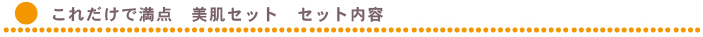 商品紹介
