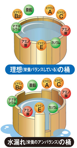桶の理論
