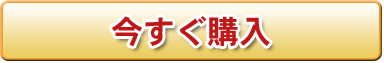 今すぐ購入