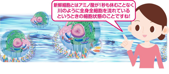 栄養チャート